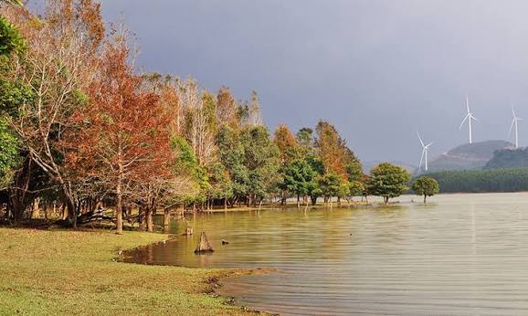 Phong Huong forest in Huong Phung during leaf season