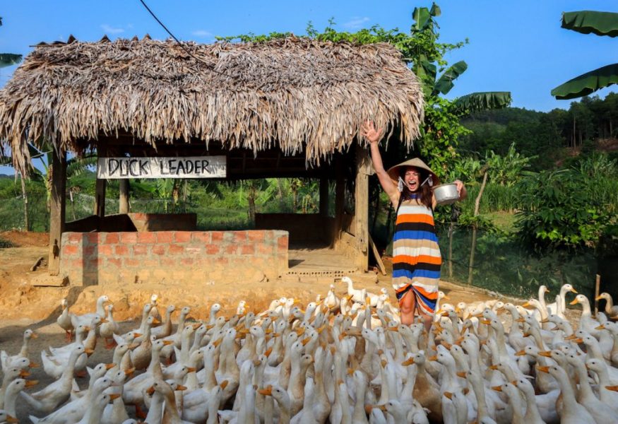 duck-tang-farm duck tang farm