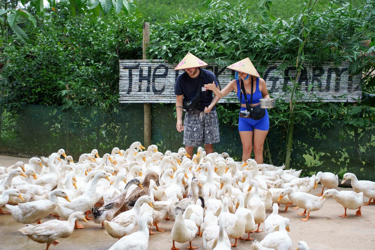 the duck tang farm